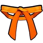 کمربند نارنجی | Orange Belt