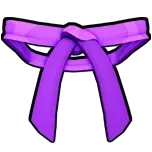 کمربند بنفش | Purple Belt