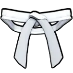 کمربند سفید | White Belt